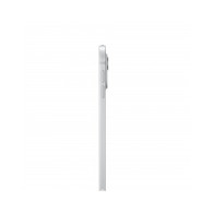 11-inch iPad Pro WiFi 256GB (M4) con Vetro Standard - Argento