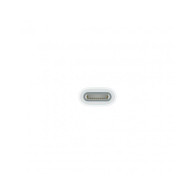 Adattatore da USB-C a Apple Pencil