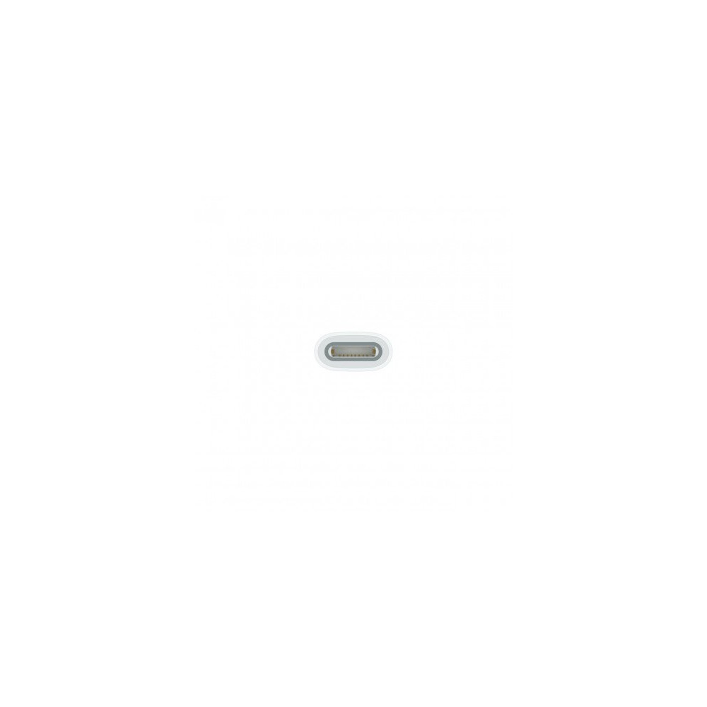 Adattatore da USB-C a Apple Pencil Adattatore da USB-C a Apple Pencil