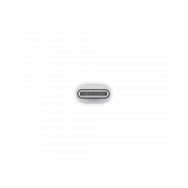 USB-C to Lightning Adapter